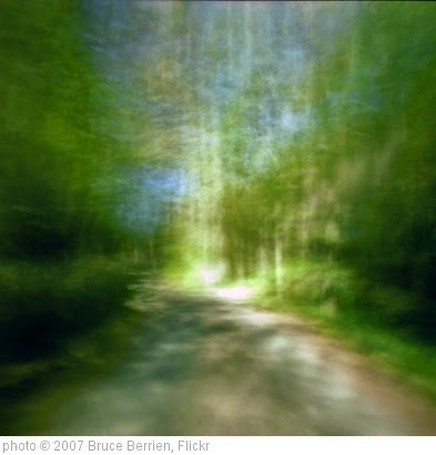 'Shining Path' photo (c) 2007, Bruce Berrien - license: https://creativecommons.org/licenses/by/2.0/