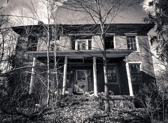 Photograph Copyright Johnny Joo