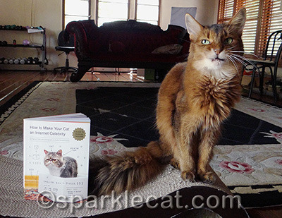 I can't believe I allowed this to be published!