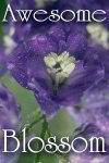awesome-blossom
