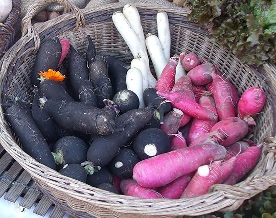 Radishes