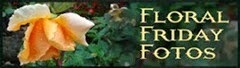 Floral_Friday_Fotos