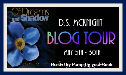 Of Dreams and Shadow banner 2