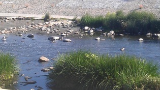 View of the LA River