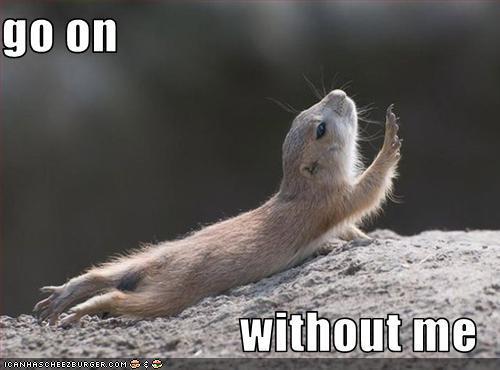  photo funny-picture-with-captions-chipmunk-go-on-without-me_zps3076ae64.jpg