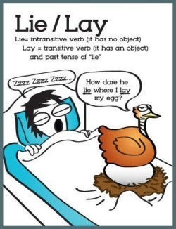 lie_lay