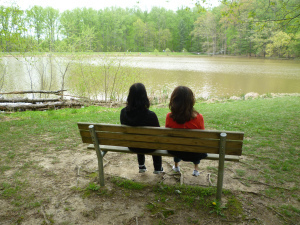Lake