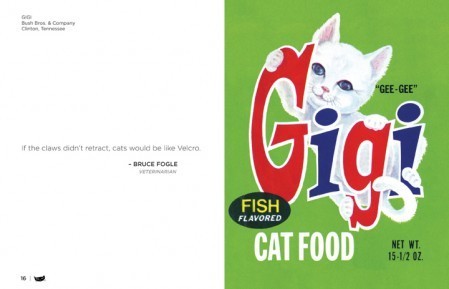 cat_food_for_thought