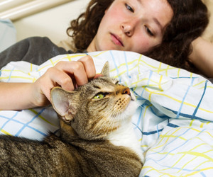 immunocompromised_patients_and_cats