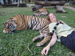 5. Tiger