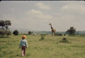 8. Giraffe