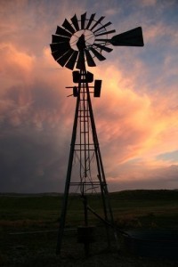 bayard-oregon-trail-wagon-train-neb138