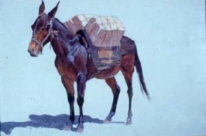 6a00d8345553eb69e200e54f724e498834-640wi