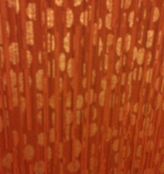 Hotel hallway wallpaper, Arlington, VA
