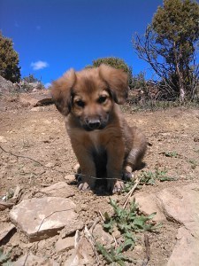 The newest addition to my family!