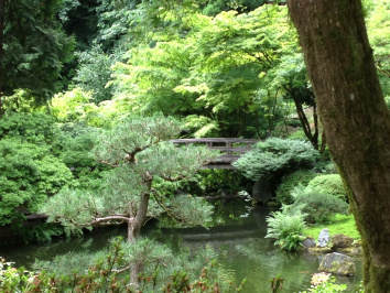 Feeling zen in the Japanese Garden in Portland, OR