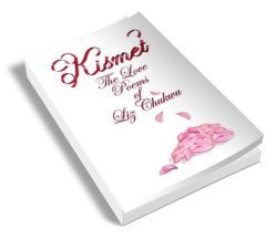 Kismetbook400