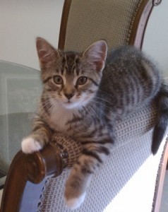 Lajni-2013-06-29 18.10.08