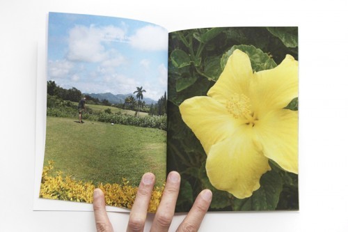 AE-golfflower
