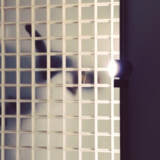 Over my head #macba #barcelona #life