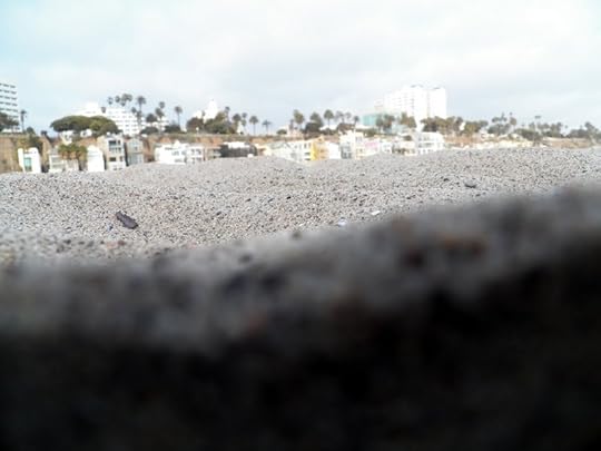 Santa Monica Beach, CA