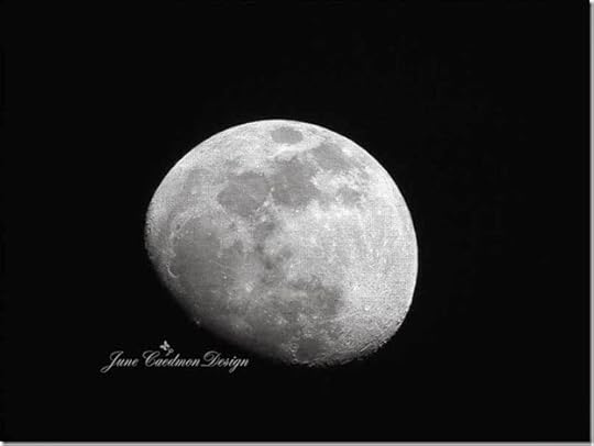 Moon_StampedSoftly