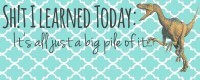 Sh!t I Learned Today – It’s all just a big pile of it