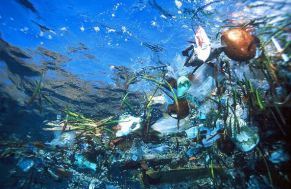 plastic in ocean
