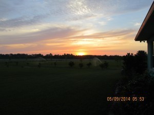 IMG_0147