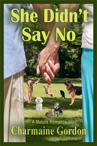 Say No CVR ARe