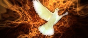 dove fire 300x130 Tongues