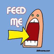 feed me