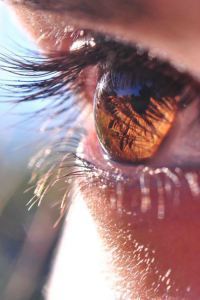 beauty_eye
