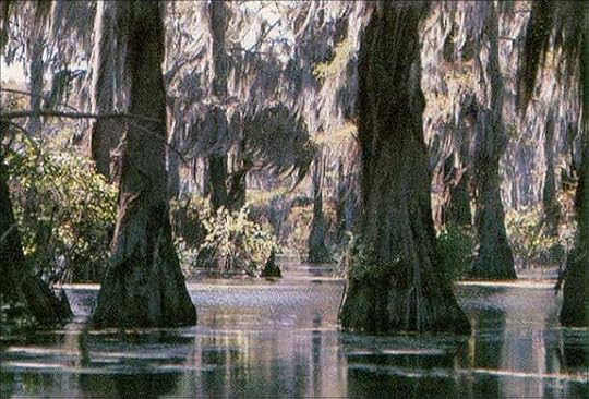  photo Swamp_zps67a2566a.jpg