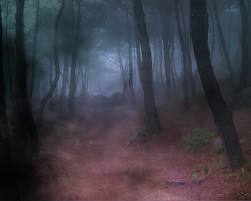 photo Forestnearborder_zpsf088c8f3.jpg