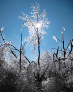 December 11, 2007 Ice Storm
