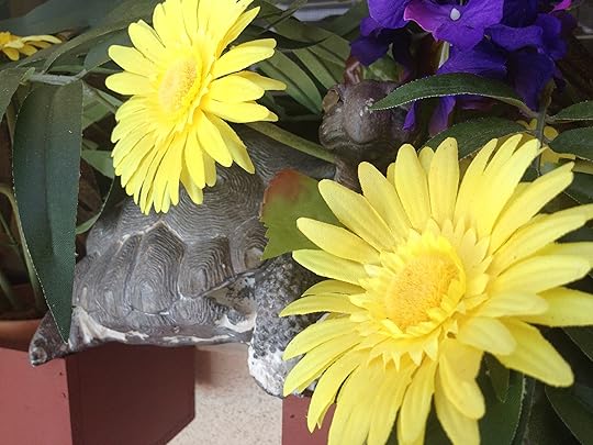 photo_1 (7)
