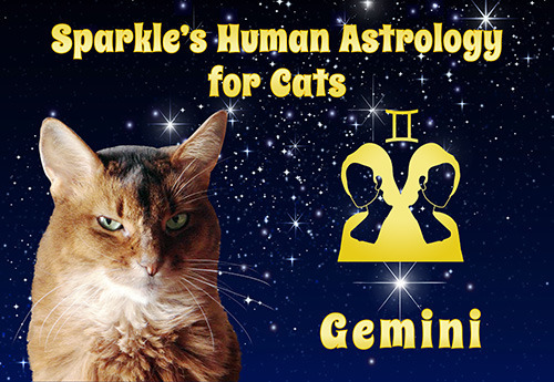 Sparkle's Human Astrology for Cats - Gemini