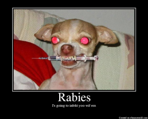 rabies