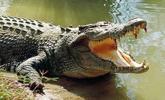 Crocodiles were associated with Sobek, a god responsible for pharaonic power, fertility, and military prowess, but served additionally as a protective deity with apotropaic qualities, invoked particularly for protection against the dangers presented by the Nile river.