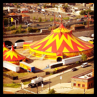 The circus is in town!