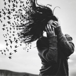 The Memory Birds