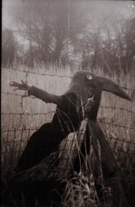 Bird Man 