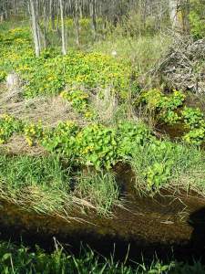 ??????????????????????