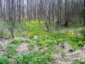 ??????????????????????