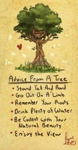 tree advice quote