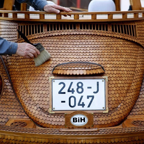 ve-beetle-back 1