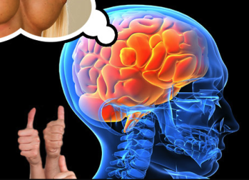 The more porn the brain perceives during arousal, the more it wants.