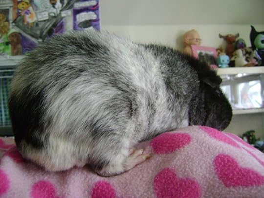 Perd Hapley? More like Turd Crapley. – Reading this made me want to re-watch that episode of Parks and Rec where Ben melts down on Ya Heard? With Perd.