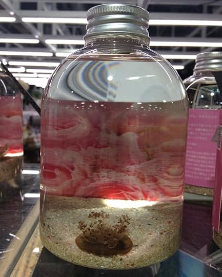 JellyfishBaby